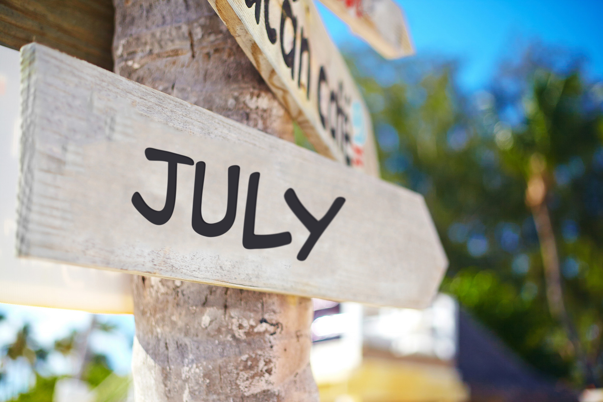 July National Day Campaign Ideas for Advertisers - Aspire