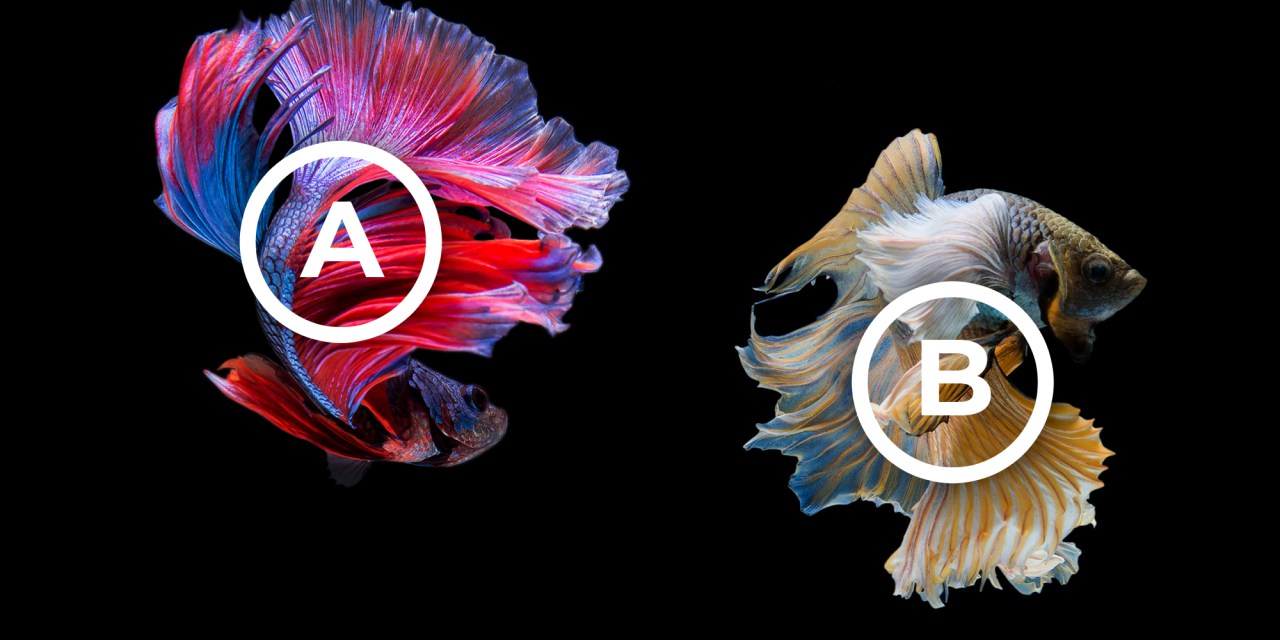 What Is A/B Testing?