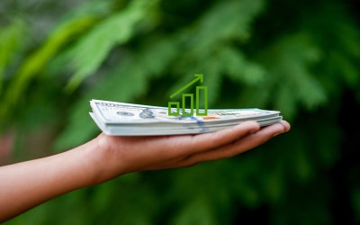 How to Increase Local Advertiser Budgets to Drive Better Ad Performance