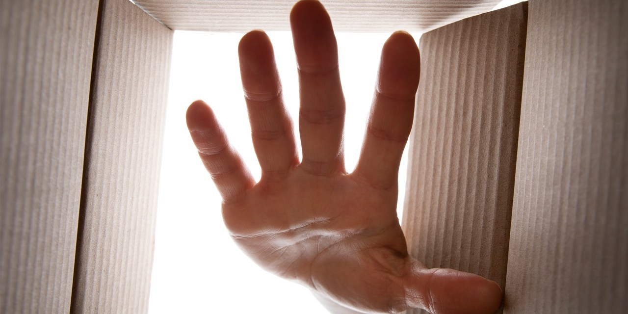 Helping Local Market Leaders Protect Their Share with Digital Ad Campaigns in 2026