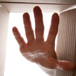 Helping Local Market Leaders Protect Their Share with Digital Ad Campaigns