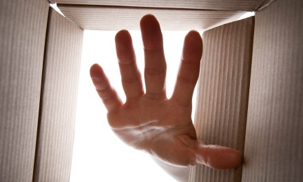 Helping Local Market Leaders Protect Their Share with Digital Ad Campaigns