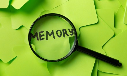 What Makes Digital Ad Creative Memorable?